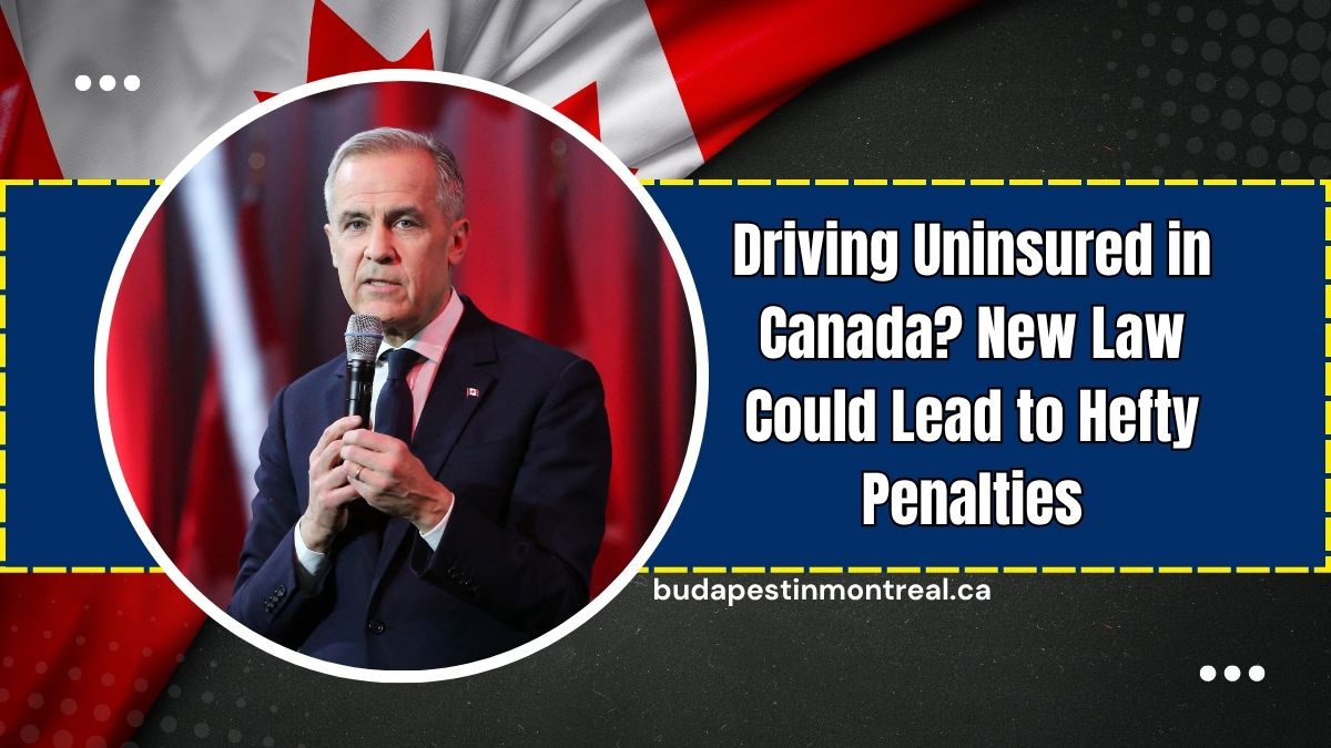 Driving Uninsured in Canada? New Law Could Lead to Hefty Penalties